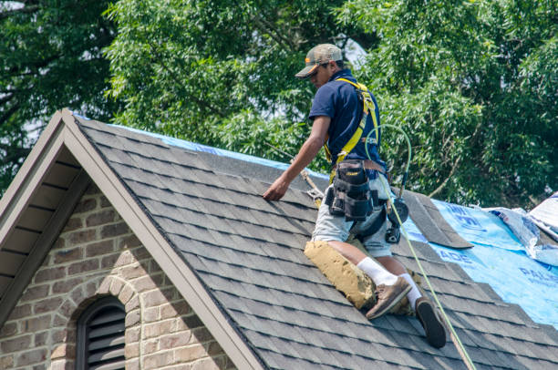 Best Roof Installation Near Me  in Fayetteville, GA